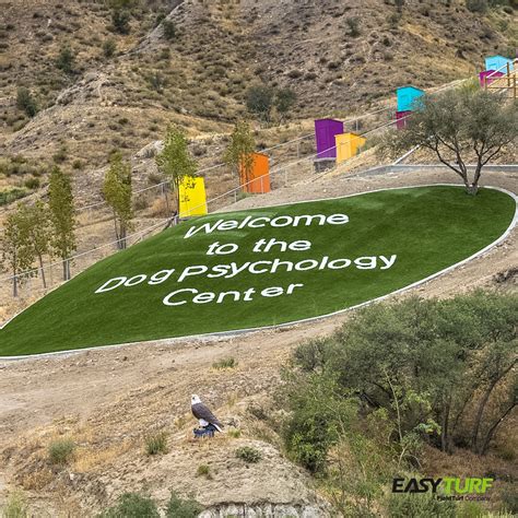 How to Make an Interesting Art Piece Using Tree Branches | eHow | Dog ...