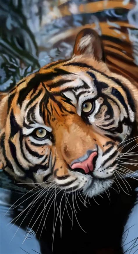 6. The diameters of the front and rear wheels of a tractor are 80 cm ...