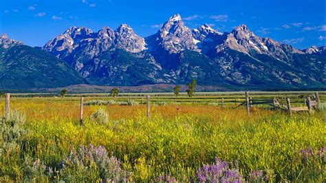 About Jackson Hole - Jackson Hole History - Jackson Hole Central ...