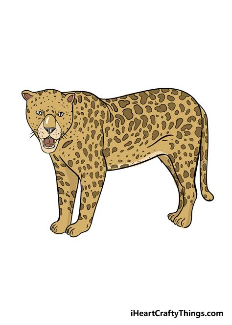 Jaguar Cat Drawing