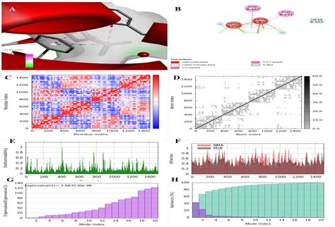 In Silico and In Vivo Studies Reveal the Potential Preventive Impact of ...