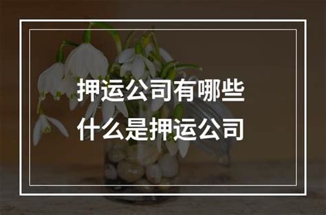 押运公司组织开展春节慰问活动 - 国企风采 - 荆州市人民政府国有资产监督管理委员会