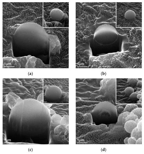 Control of Dopant Distribution in Yttrium-Doped Bioactive Glass for ...