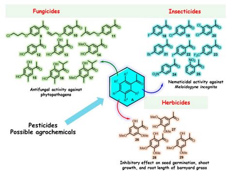 Traveling across Life Sciences with Acetophenone—A Simple Ketone That ...