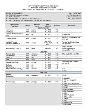 Fillable Online ANCILLARY/SERVICE CENTERS DETAILED RECORD FORMAT Fax ...