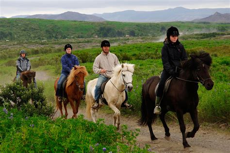 Horseback Riding Tours in Iceland | Horse Riding | Arctic Adventures