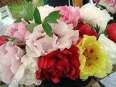 di masino fiori archi tetti anche quest anno fiori al di di masino fiori archi tetti anche quest anno fiori al di