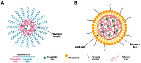 Potential of the Nano-Encapsulation of Antioxidant Molecules in Wound ...