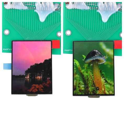 Digital Camera LCD Screen 的图像结果