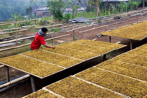 Kretek Cerminan Kedaulatan Ekonomi dan Jati Diri Bangsa Indonesia