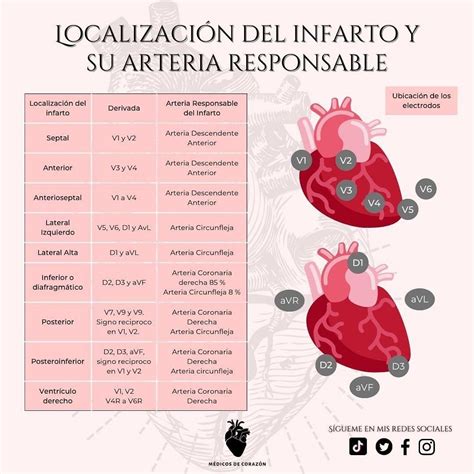 Pinterest | Estudiante de medicina, Cosas de enfermeria, Medicina humana