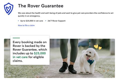 Rover.com Review: Is It Worth It To Make Money Dog Sitting?