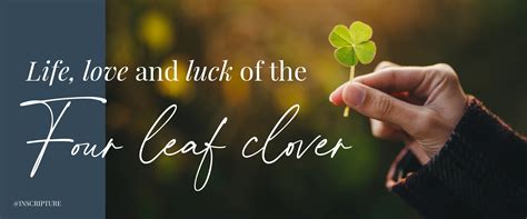 Four Leaf Clover Meaning Amazon.com: Real Four Leaf Clover Bookmark,