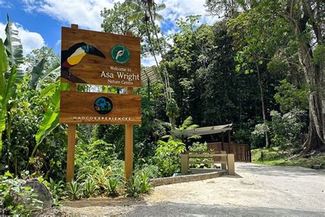 HADCO EXPERIENCES AT ASA WRIGHT NATURE CENTRE (ECOLODGE) (Trinidad ...