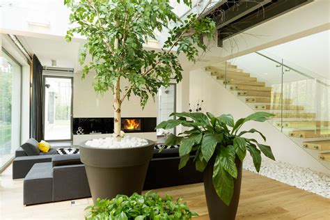 Two Homes That Celebrate Greenery Indoors