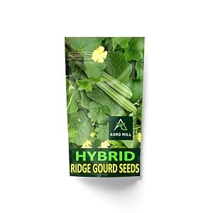 AGRO MILL RIDGE GUORD/TURAI/TORI/LUFFA ORGANIC HYBRID F1 NON GMO SEEDS ...