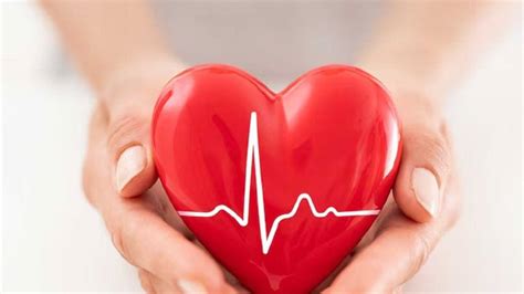 Identifying Heart Health From Childhood to Old Age: শুধু বার্ধক্যেই নয় ...