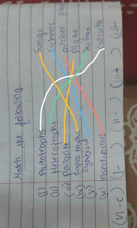 Match the following n Autotrophs Fungi cul Heterotrophy lichens (0 ...