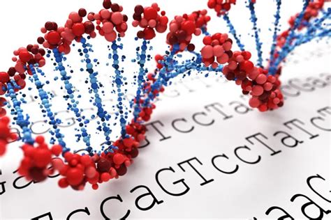 分子生物学 第四章 DNA的生物合成_复制原点和解螺旋的区别-CSDN博客