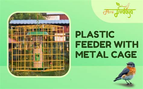 Amijivdaya Plastic Feeder with Metal Cage for Large Bird, Green, 6 ...