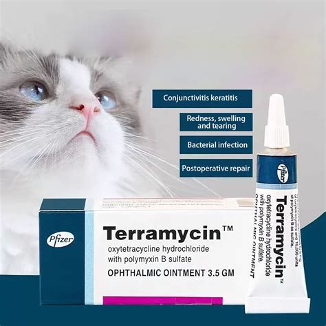 Terram-ycin Eye Ointment for Cats, Dogs & Horses | Antibiotic Eye Infection Treatment | Tear ...