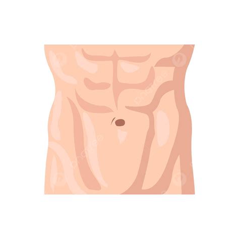 Icono Del Abdomen REGIONES ABDOMINALES. Hipocondrio. Flanco. Fosa