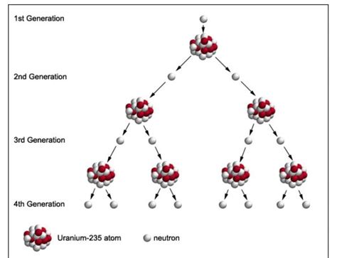 Draw symbolic diagram of a nuclear fission chain reaction. - Brainly.in