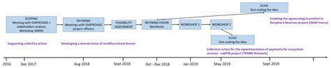 Testing a Framework to Co-Construct Social Innovation Actions: Insights ...