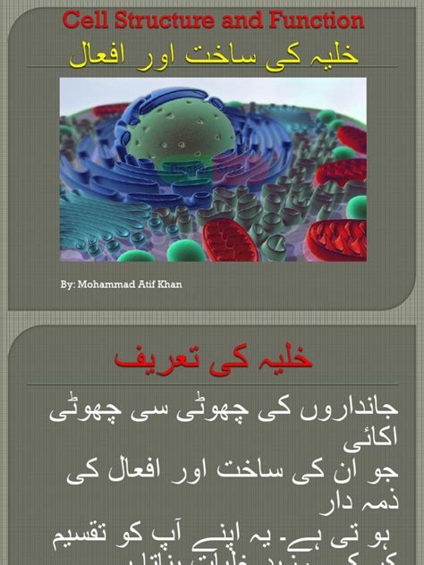 Cell Structure and Function 的图像结果