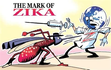 Zika |The Times of India