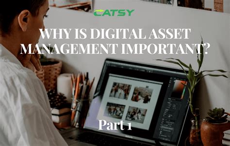 Image result for Digital Asset Management Explained