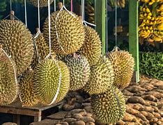 Durian 的图像结果