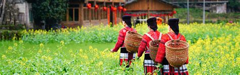 6-Day Guilin Yangshuo and longsheng Rice Terraces Relaxation Tours