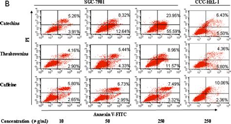 Changes of Constituents and Activity to Apoptosis and Cell Cycle During ...