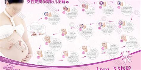 新生胎儿装饰素材图片免费下载-千库网