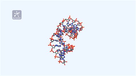 RNA Model 的图像结果