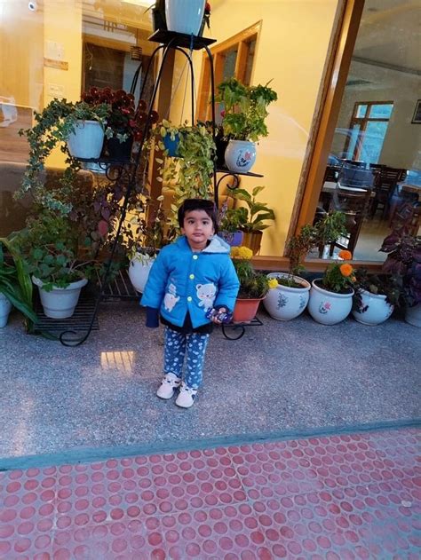 SPRINGWOOD INN (Bhowali) - Hotel Reviews, Photos, Rate Comparison ...