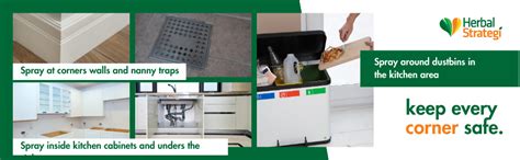 Herbal Strategi – JustOut Cockroach Repellent | Room Spray | Completely ...