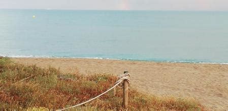 ¿Por qué el agua de las playas de Barcelona se ha vuelto turquesa?