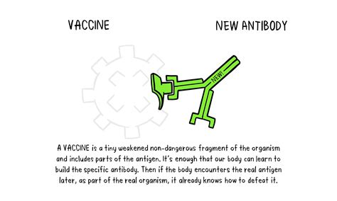 How do vaccines work?