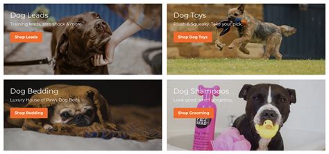 Find a Product to Sell Online [12 Effective Strategies] - Shopify India