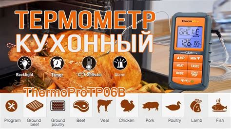 Электронный цифровой термометр ThermoPro TP06S для приготовления еды ...