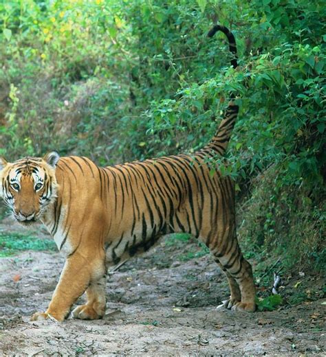 Poddar Tourism