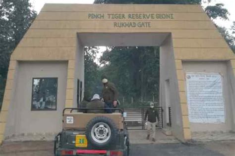 Pench National Park, Pench Tiger Reserve Booking Portal