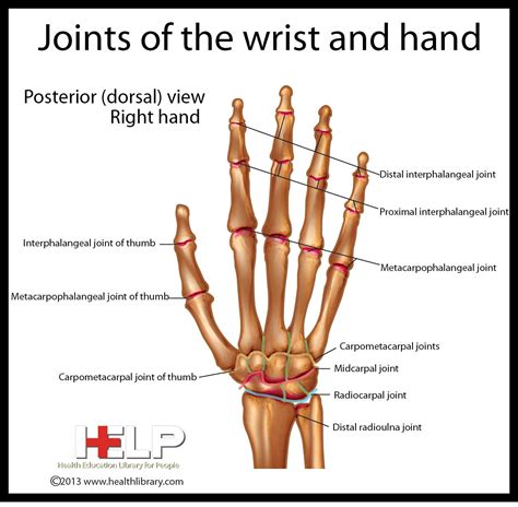 Finger Joints Type at Barbara Bowles blog
