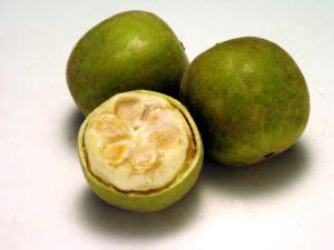 justcooking.in - Food Dictionary - Fruits - Monk Fruit