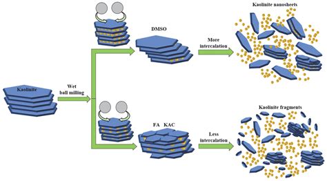 Effects of Typical Solvents on the Structural Integrity and Properties ...