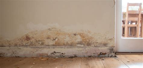 Salt Treatment :: Thakorji Distributors :: Building Materials