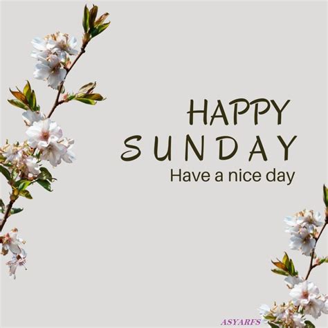 HAPPY SUNDAY TO YOU ALL! - Abundant Life, Security and Peaceful Co ...
