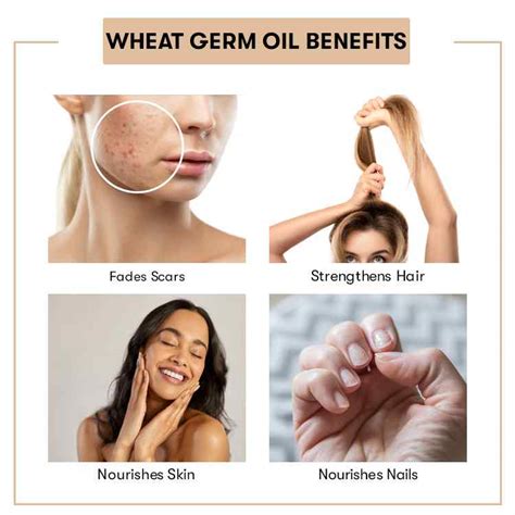 Buy Wheat Germ Oil Online In India | Wheat Oil Bulk Manufacturer – VedaOils